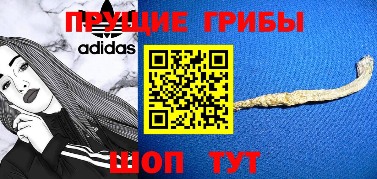 Галлюциногенные грибы GOLDEN TEACHER  Галлюциногенные грибы прущие грибы  Тихвин  Вход с VPN 
